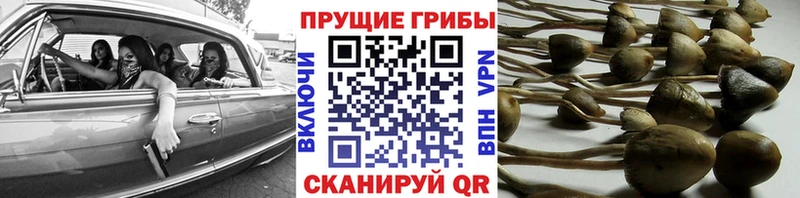 Псилоцибиновые грибы ЛСД  цены наркотик  Арамиль 