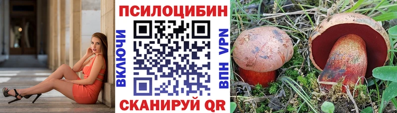 Псилоцибиновые грибы прущие грибы Арамиль